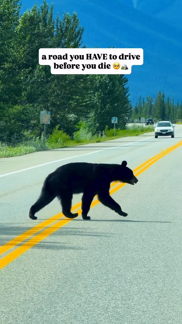 Alberta's Icefields Parkway: Glaciers, Lakes, and Waterfalls