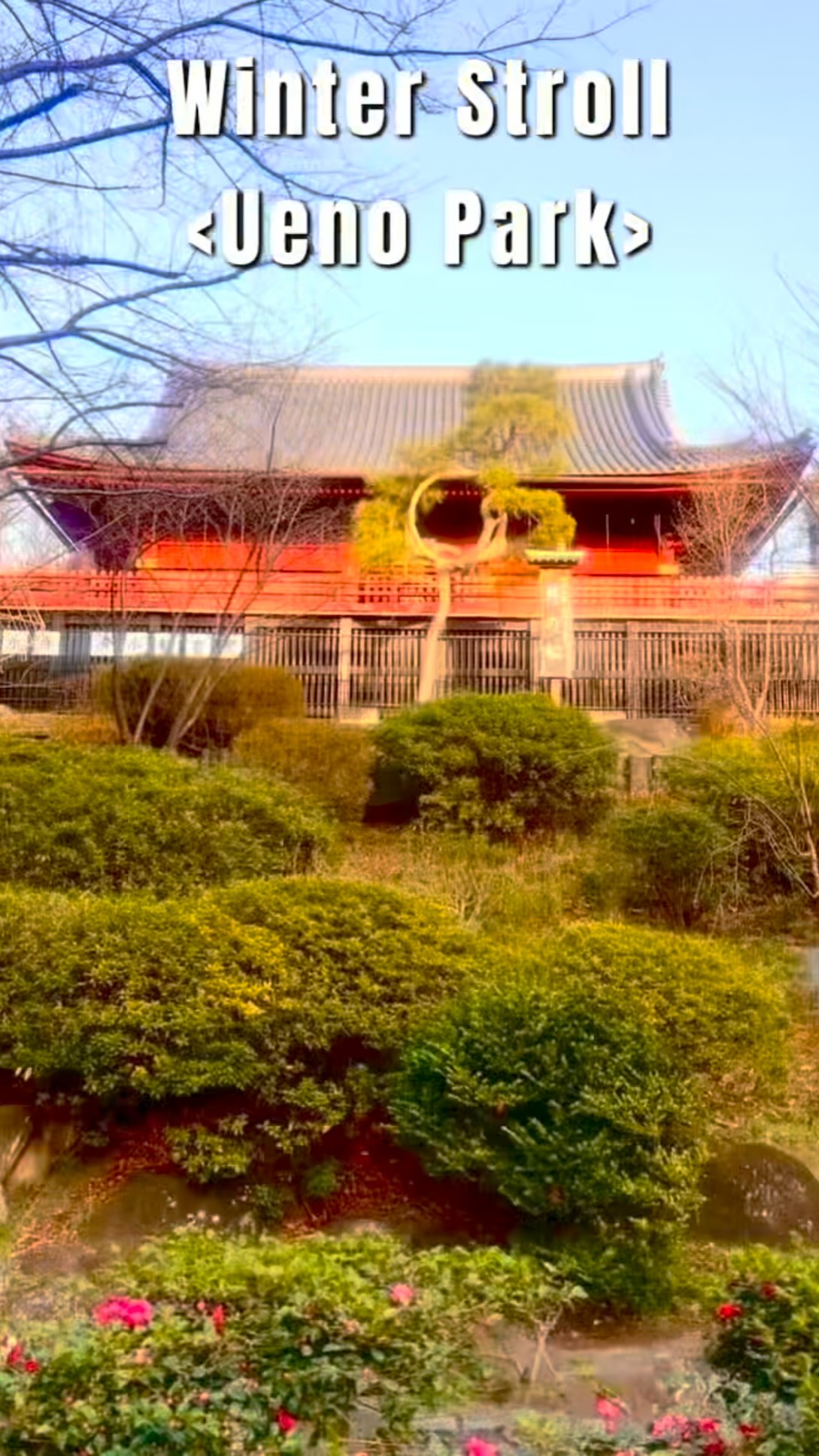 Tokyo Parks Feature Historic Shrines And Temples
