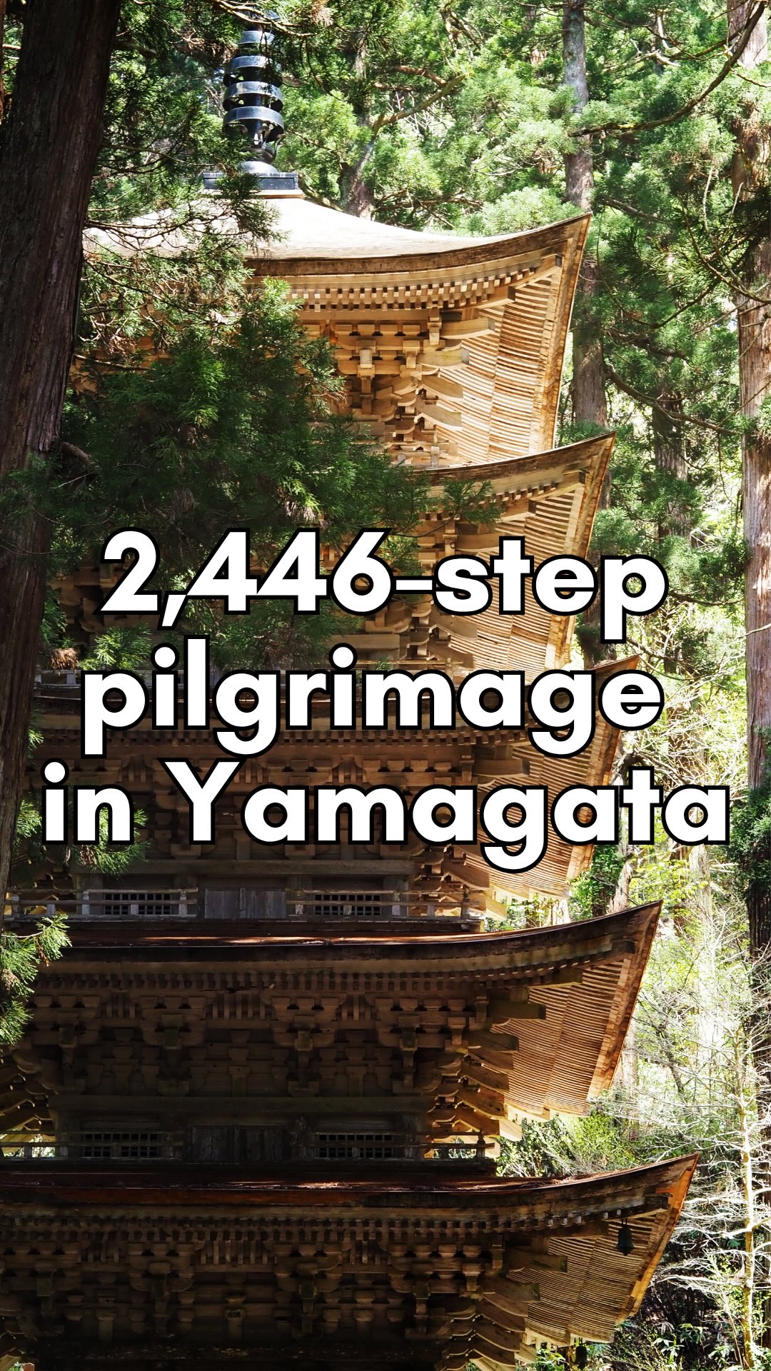 Sacred Dewa Sanzan Mountains and Yamagata Adventures