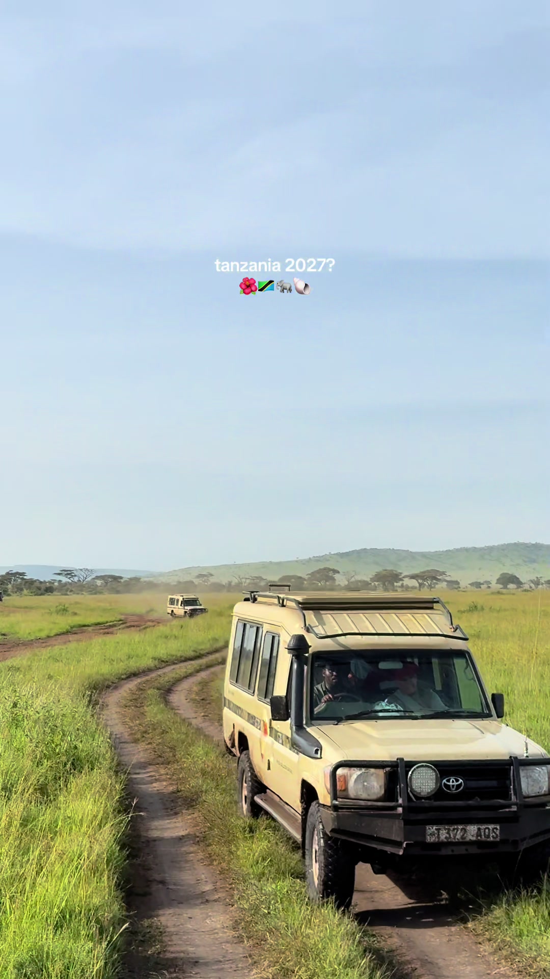 Tanzanian Adventures: Beaches, Wildlife, and Culture