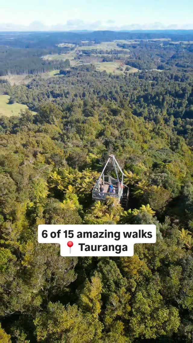 New Zealand's Volcanic Peaks and Forest Trails