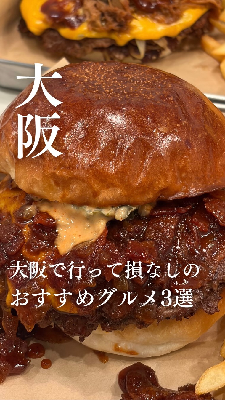 Osaka's Gourmet Delights: Udon, Burgers, and Fries