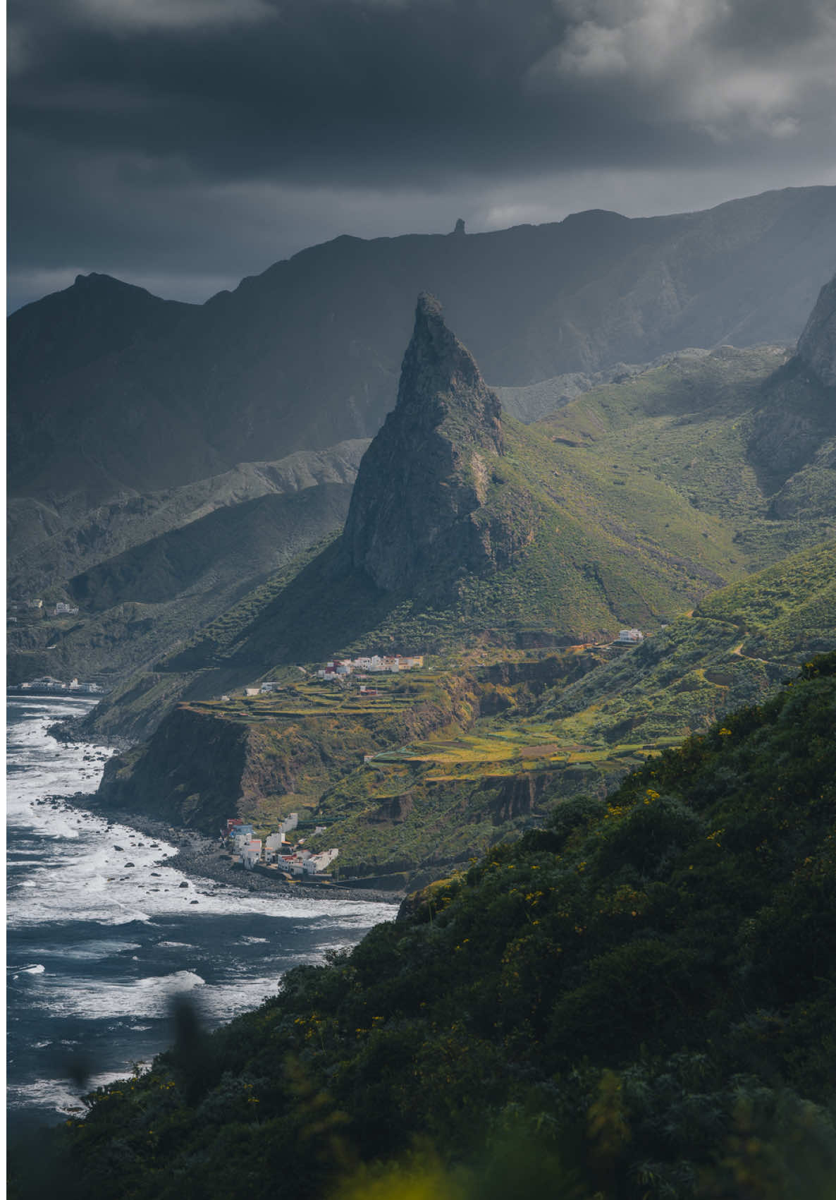 Tenerife's Natural Parks and Dragon Tree