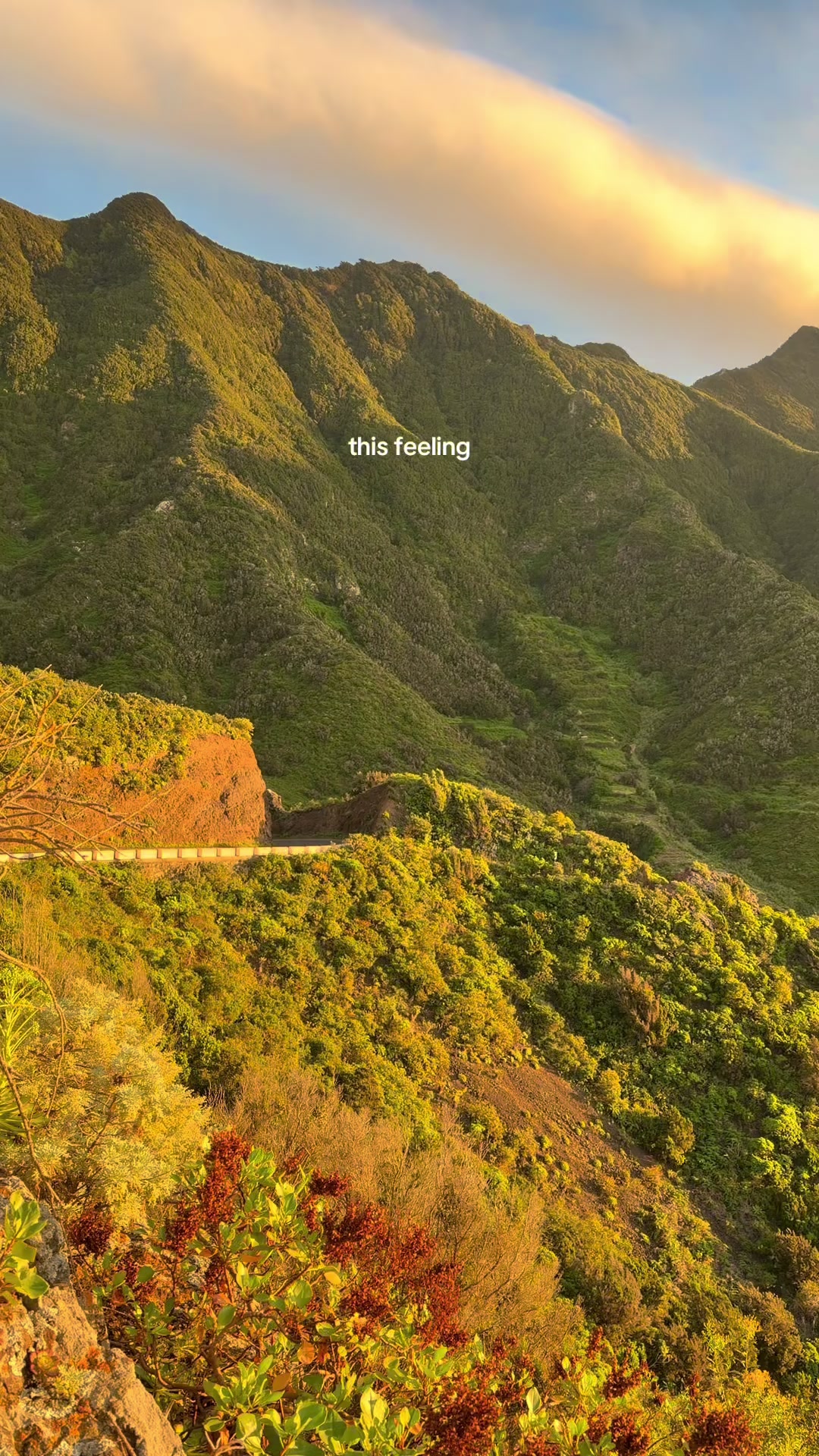 Tenerife's Top Tourist Attractions