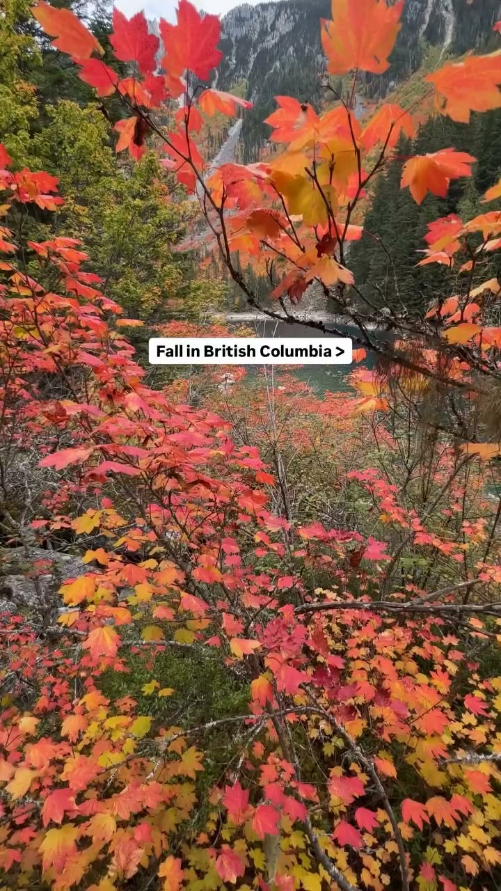 Lindeman Lake's Stunning Fall Scenery