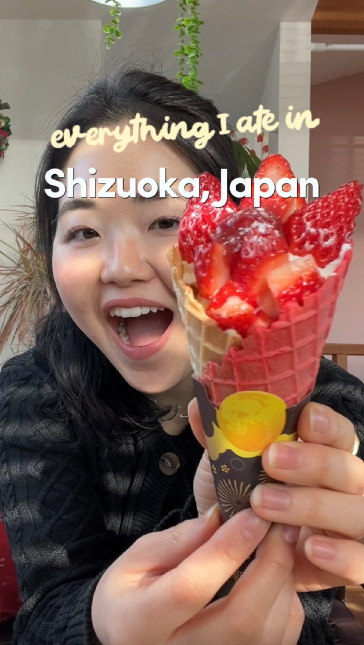 Shizuoka Day Trip: Food and Attractions