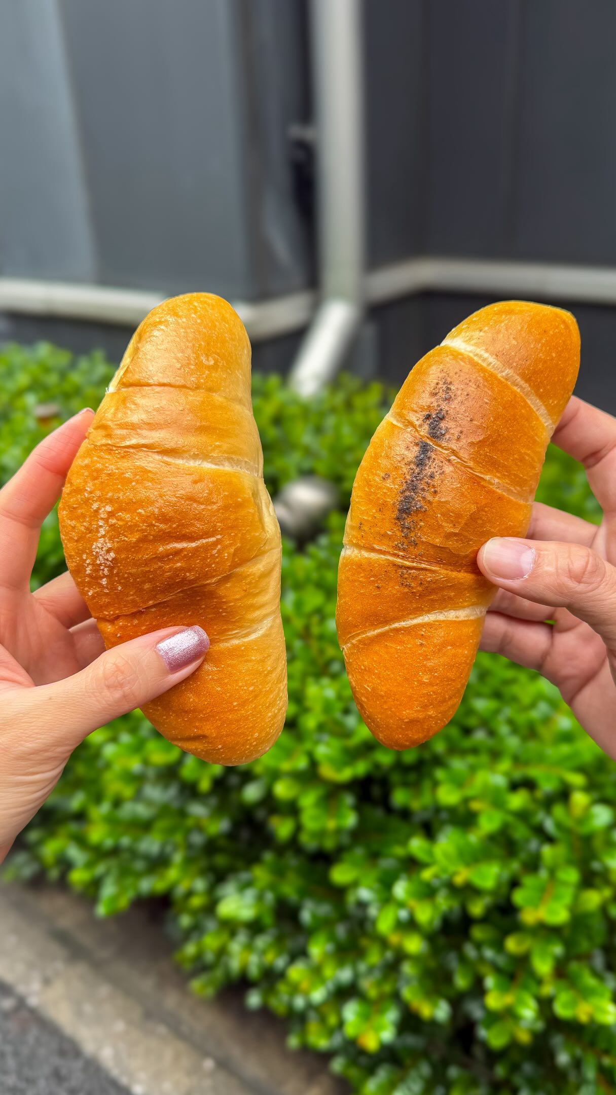 Pain Maison: Tokyo's Beloved Salt Bread Spot