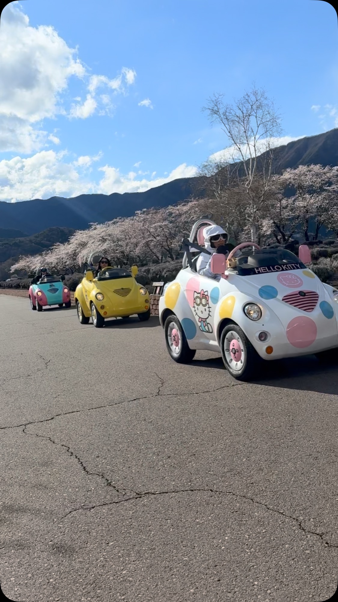 E-Car Tours With Mt. Fuji Views Around Lake Kawaguchi