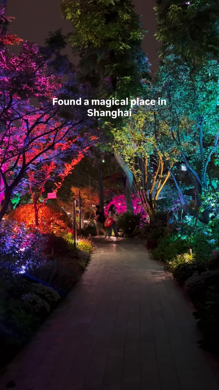 Jing'an Park's Magical Light Art Displays