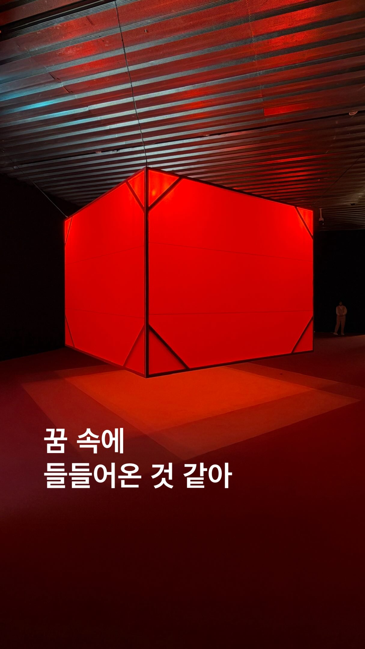 Leeum Museum of Art's Immersive Exhibition