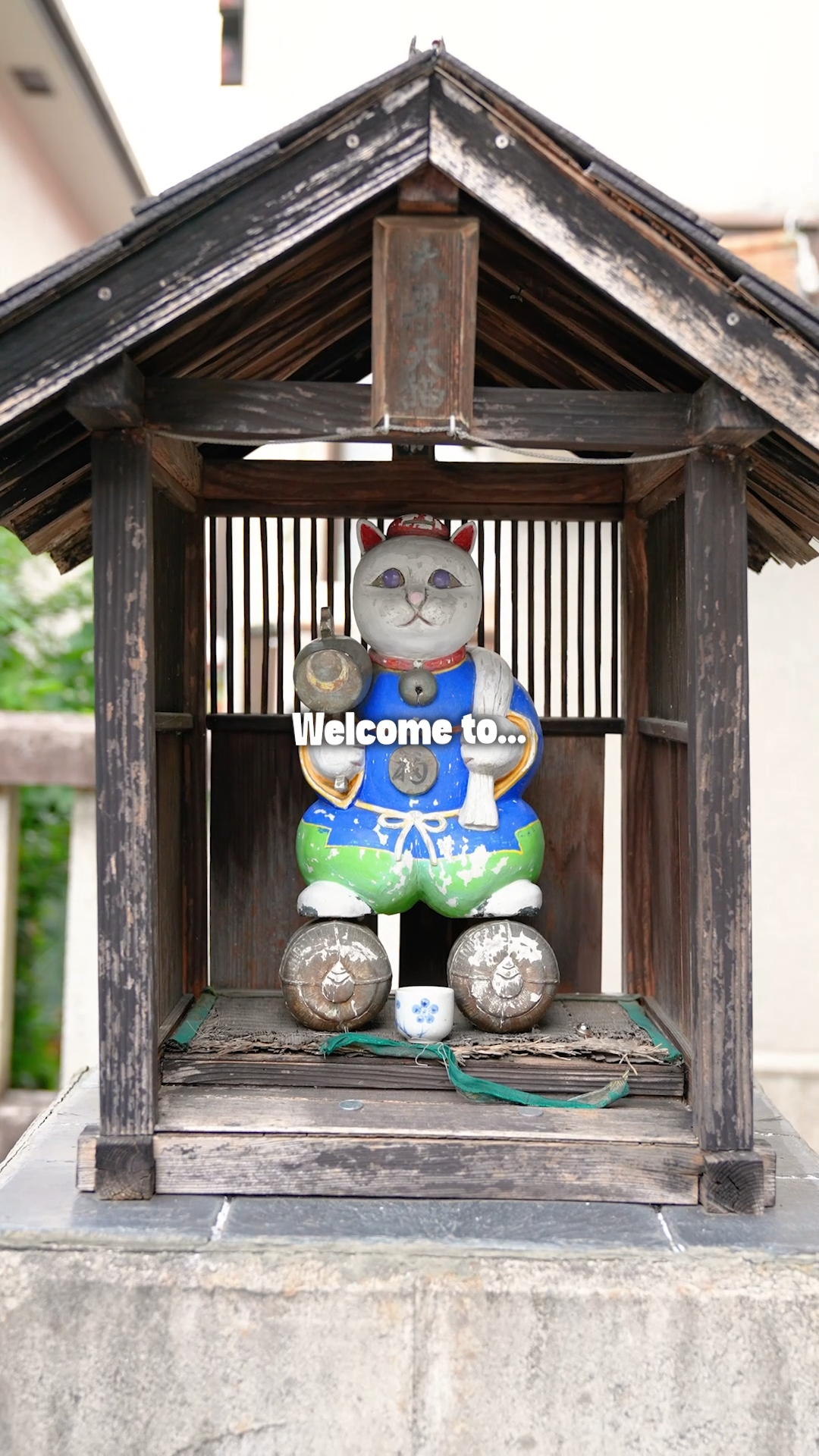 Showa Retro and Cat Motifs Abound in Ome