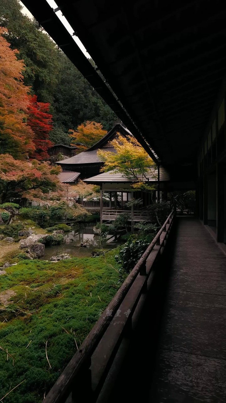 Kyoto's Autumn Colors At A Secluded Mountain Temple