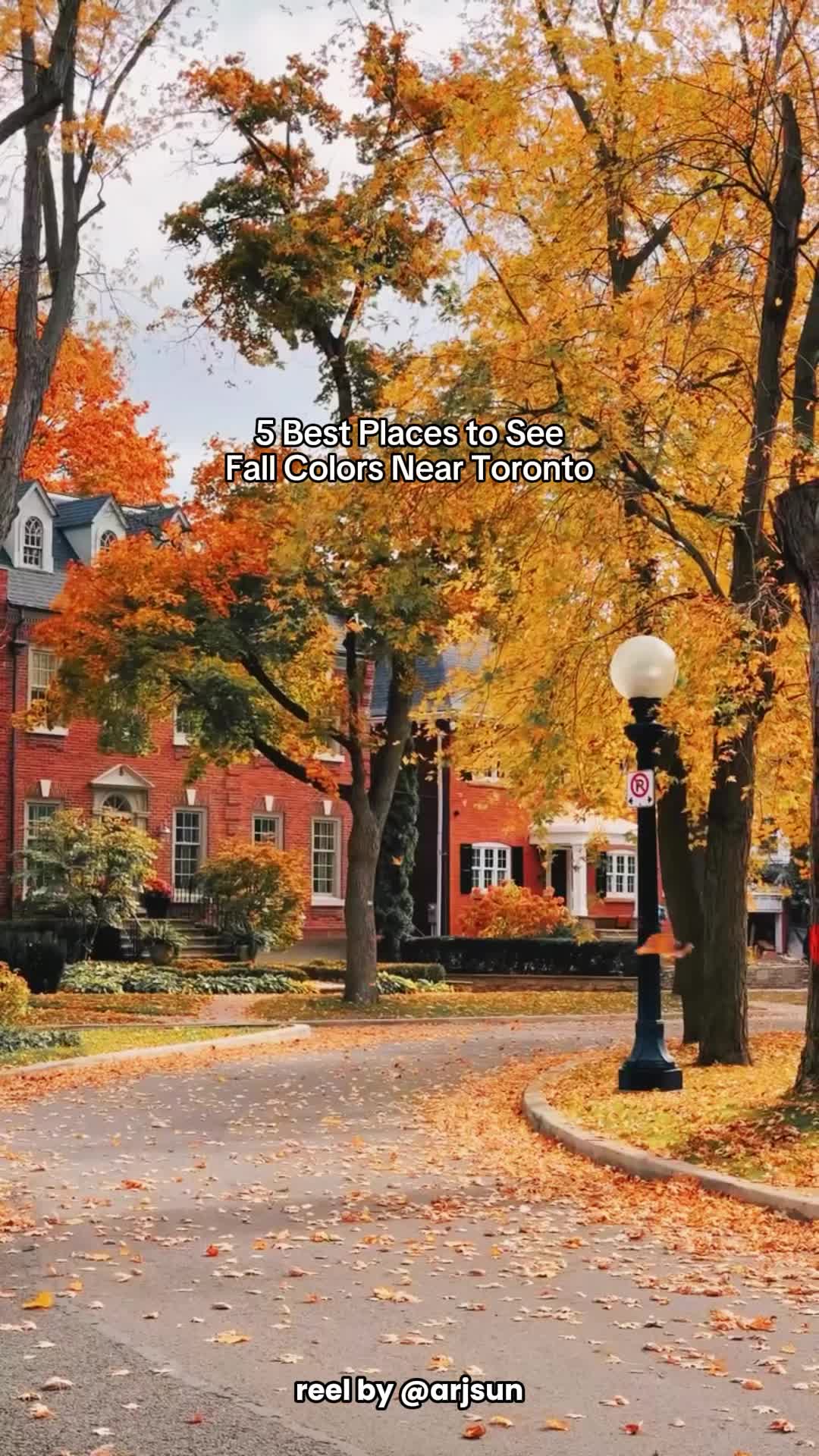 Fall Colour Destinations Near Toronto