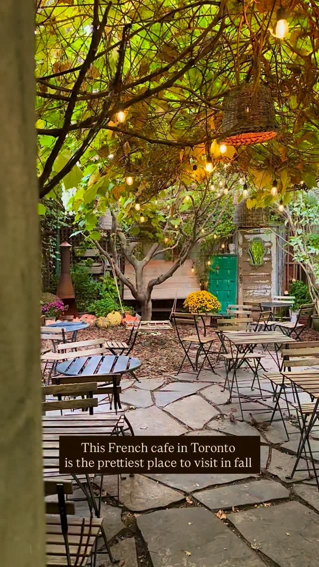 Cafe23's Hidden Garden Patio Oasis
