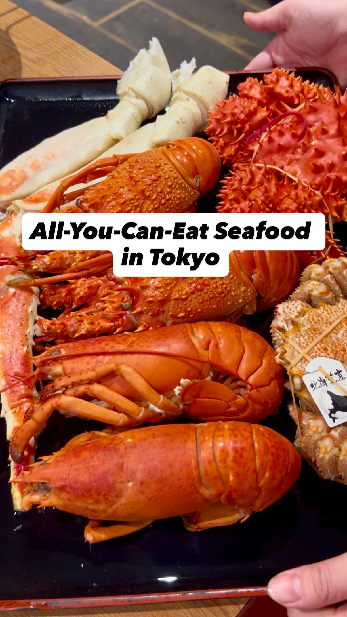 Tokyo's Unlimited Seafood Feast