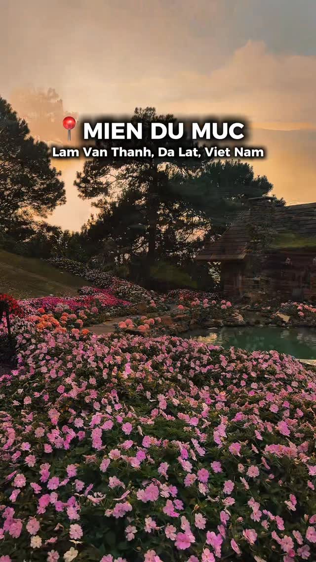 Dalat's Serene Coffee Shop Amidst Natural Beauty