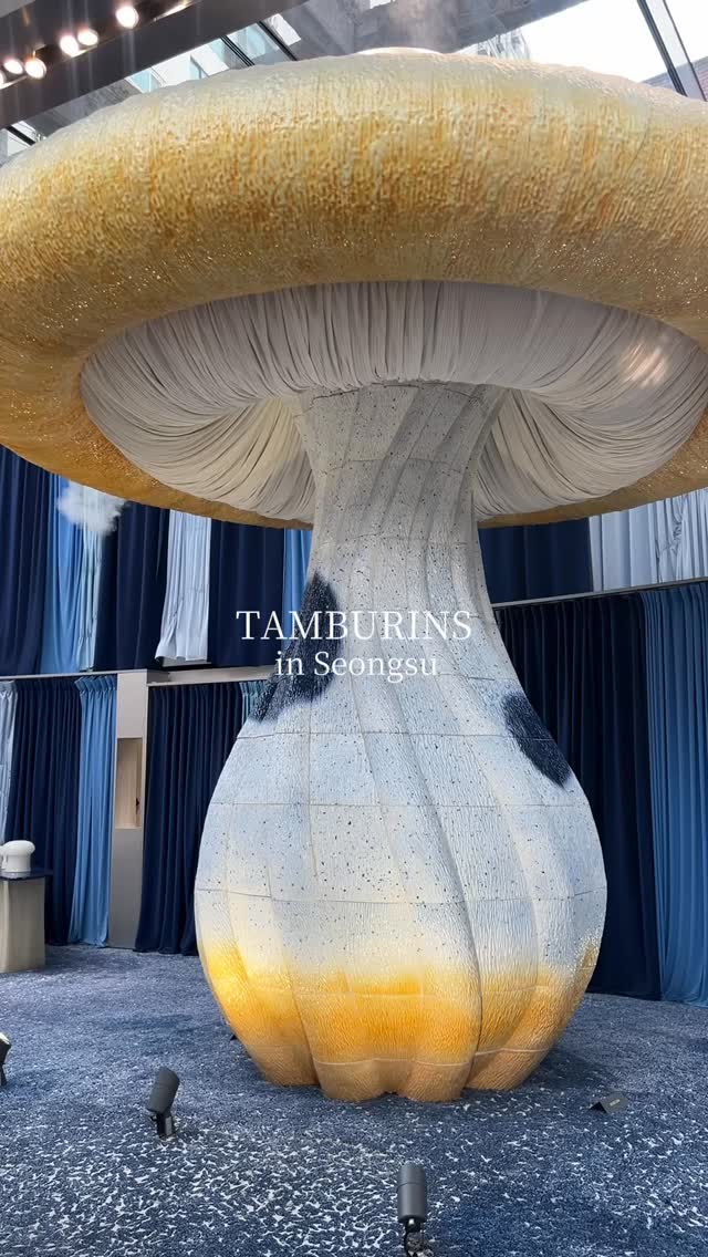 Tamburins Seongsu Mushroom-Themed Perfume Shop