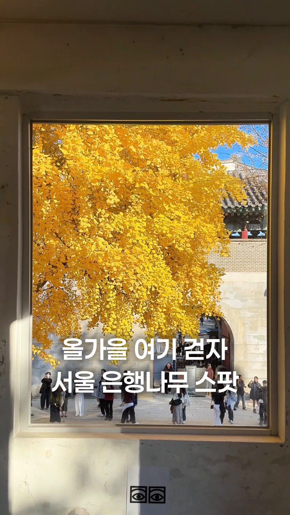 Autumn Gingko Tree Spots In Seochon And Gyeongbokgung