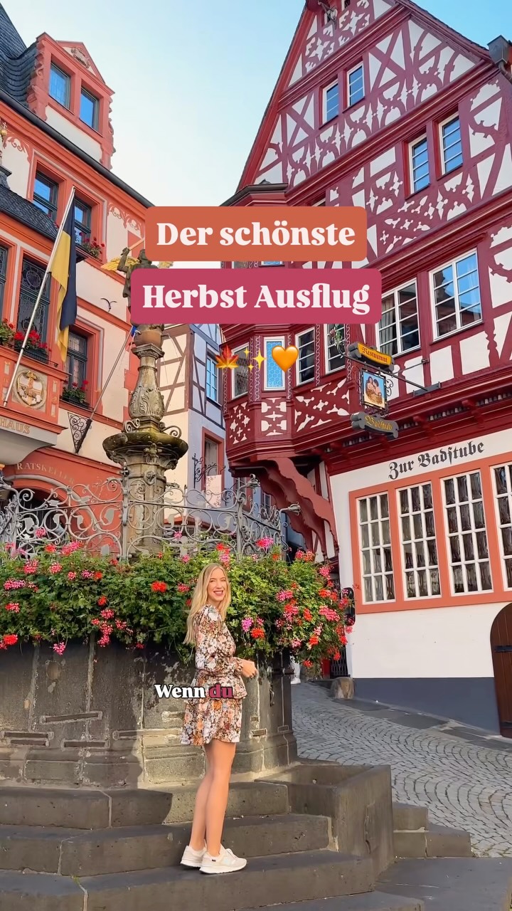 Mosel Valley's Castles and Charming Towns