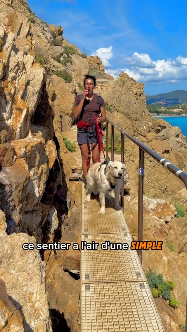 Coastal Hike Between Favière and Gaou Beaches