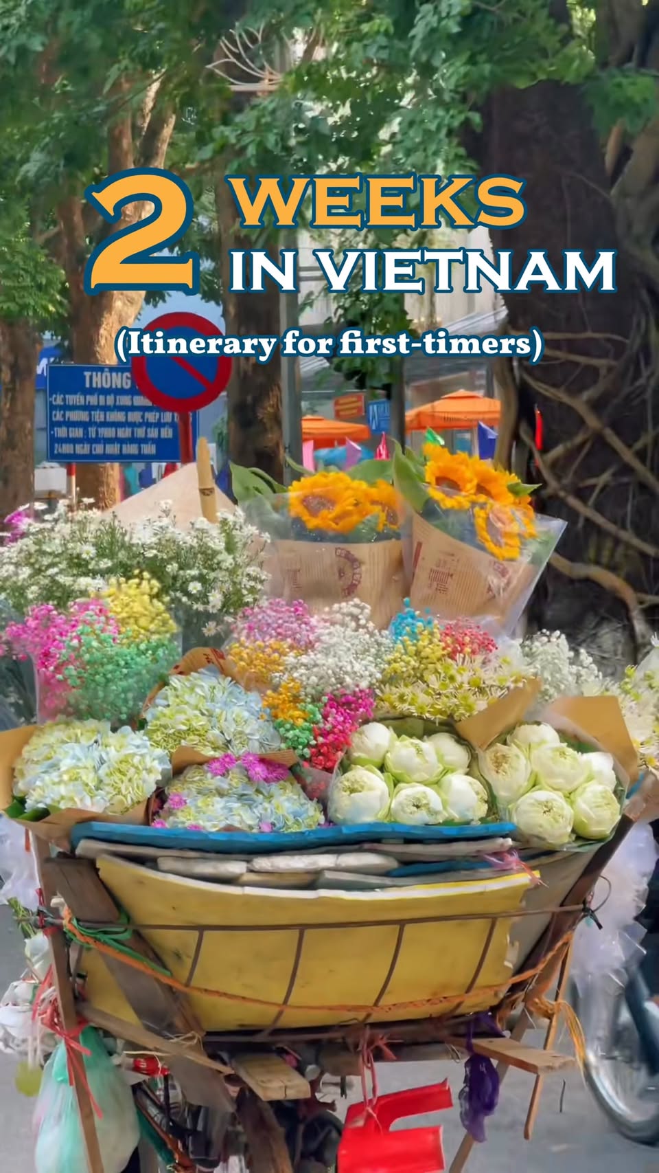 Vietnam's Top Destinations For A Two-Week Trip