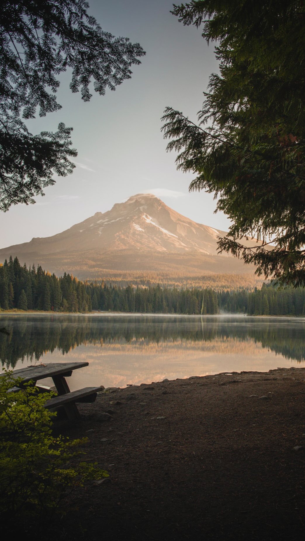 Oregon's Natural Wonders: Forests, Mountains, and Waterfalls