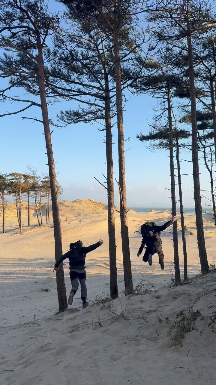 Forest Meets Beach Destinations