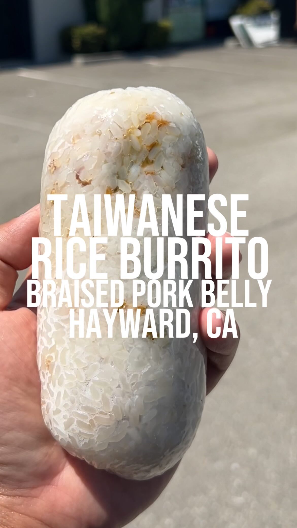 MITK Kitchen Taiwanese Rice Burritos Review