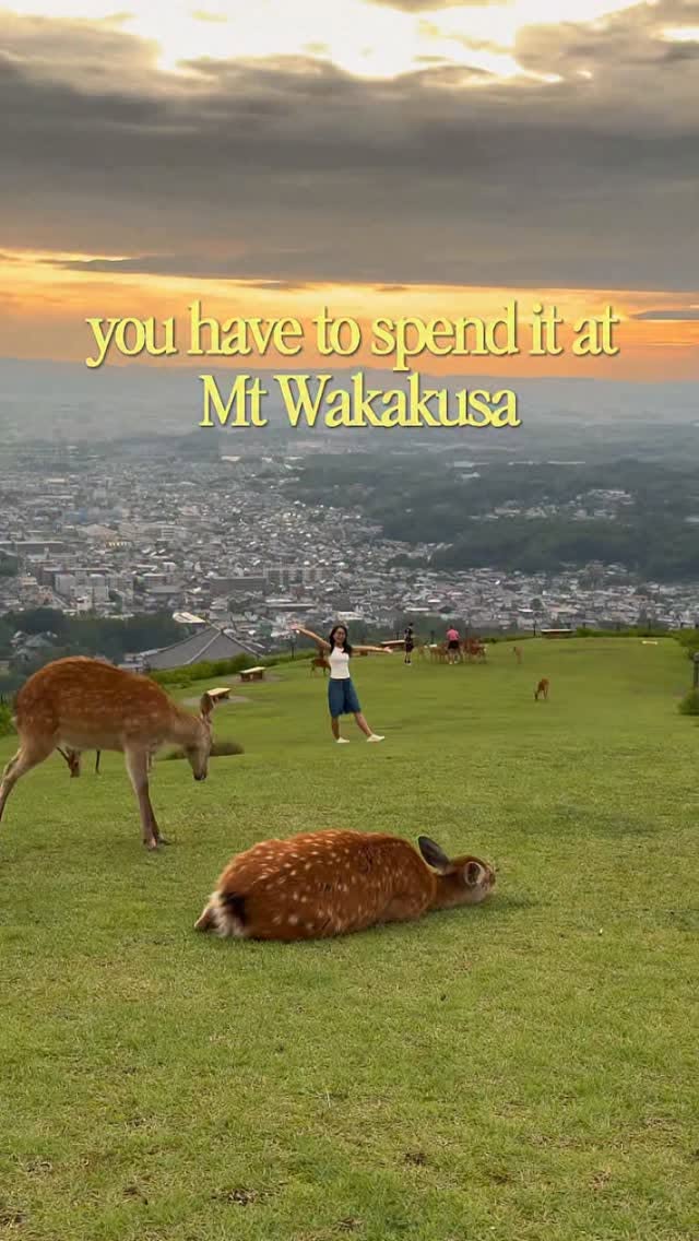 Nara Park and Wakakusa Hilltop Views