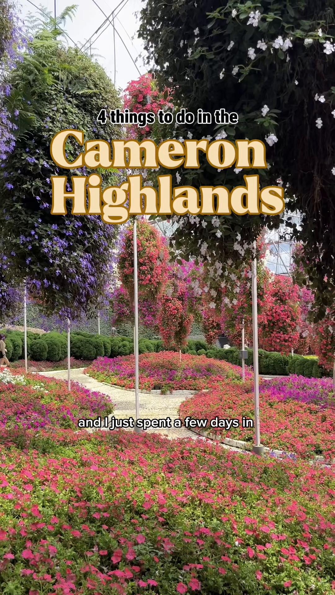 Cameron Highlands Nature and Farm Attractions