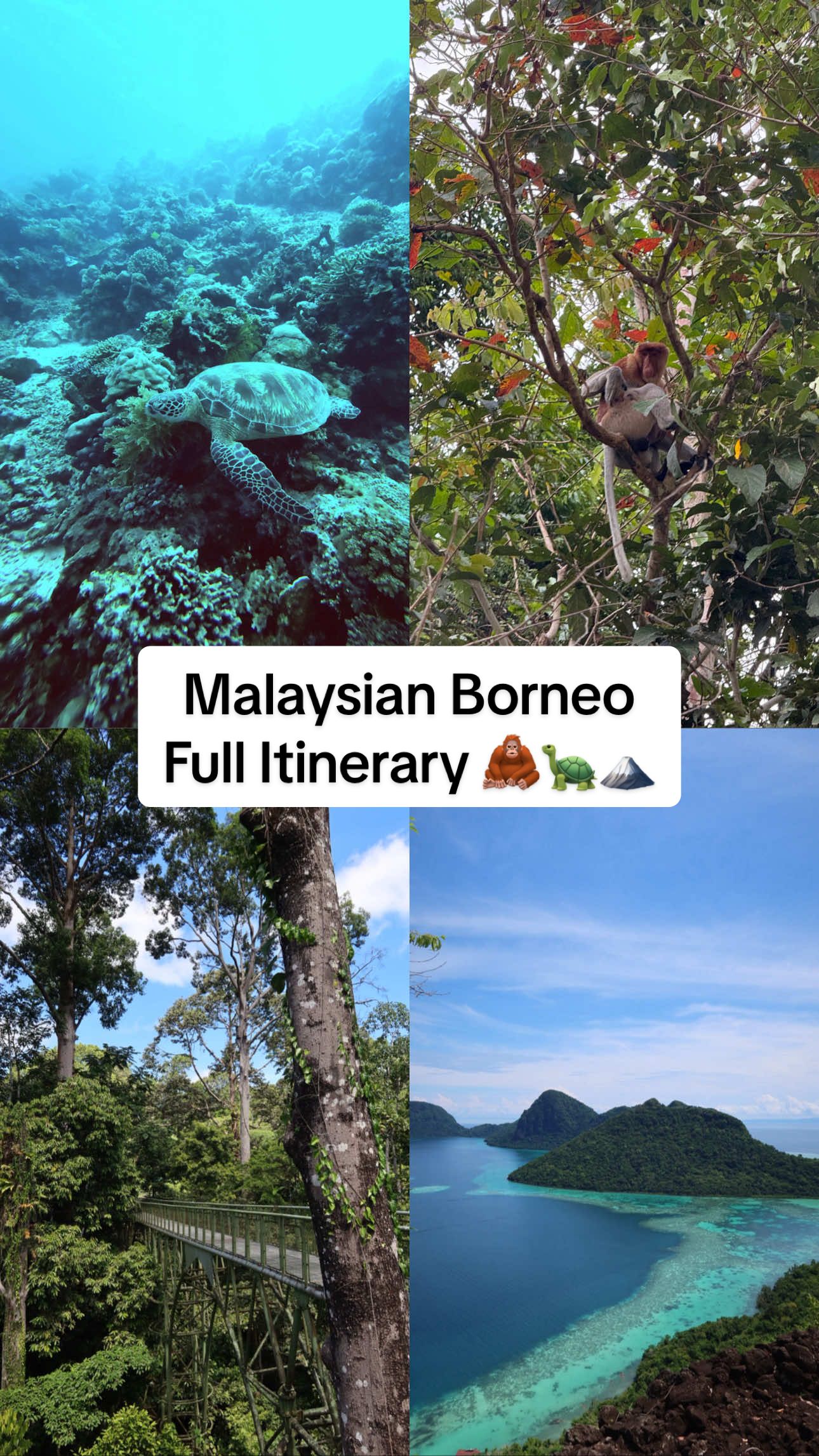 Sabah's Natural Wonders and Islands