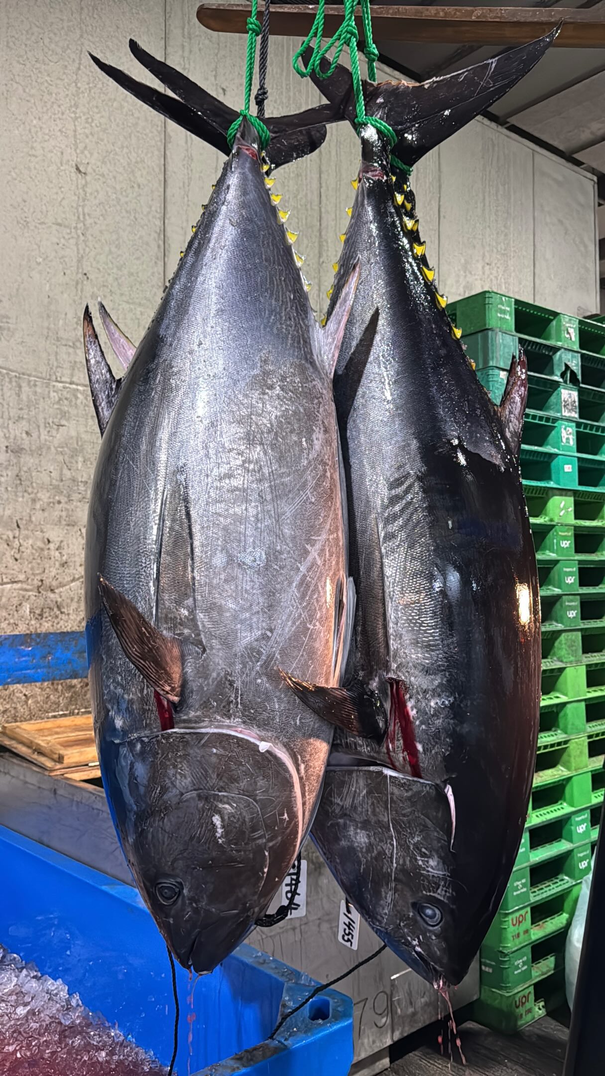 Osaka's Top Tuna Market and Dining Experiences