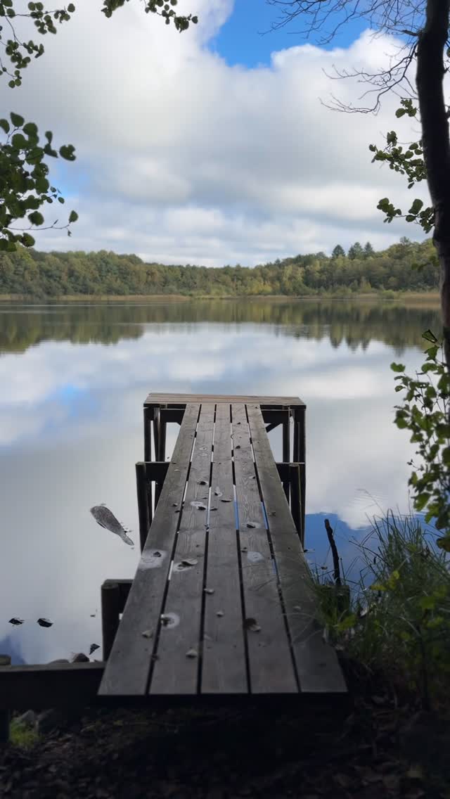 Skåneleden and Frostavallens Strövområde