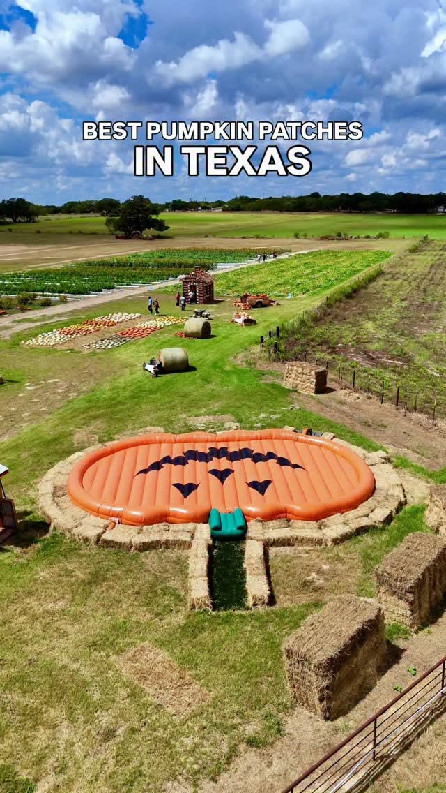 Texas Pumpkin Patches Offer Autumn Fun
