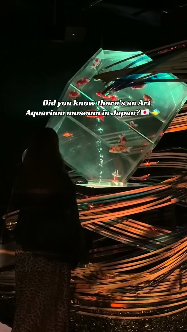 Tokyo Art Aquarium Museum's Aquatic Displays
