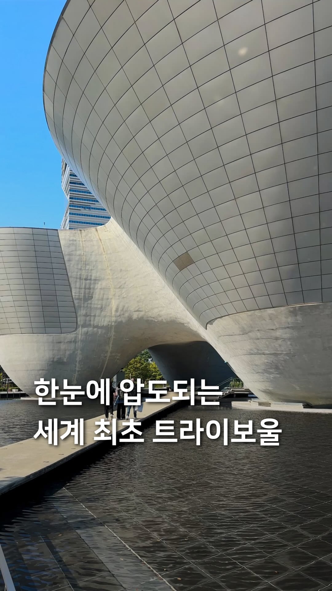 Incheon's Unique Cultural Hub: Tribowl