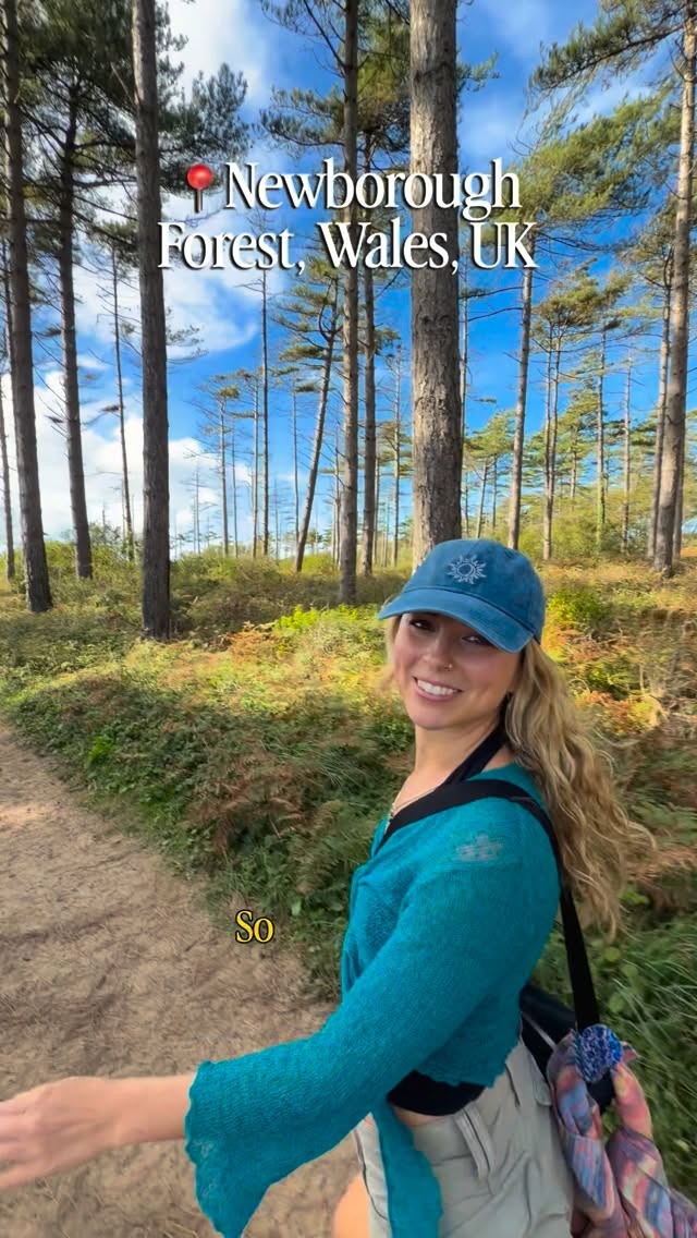 Newborough Forest: A Woodland and Coastal Fairyland