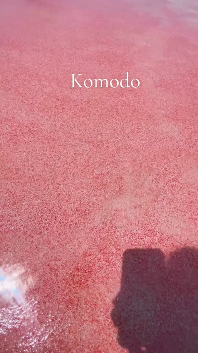 Komodo Island: Untamed Beauty and Unreal Views