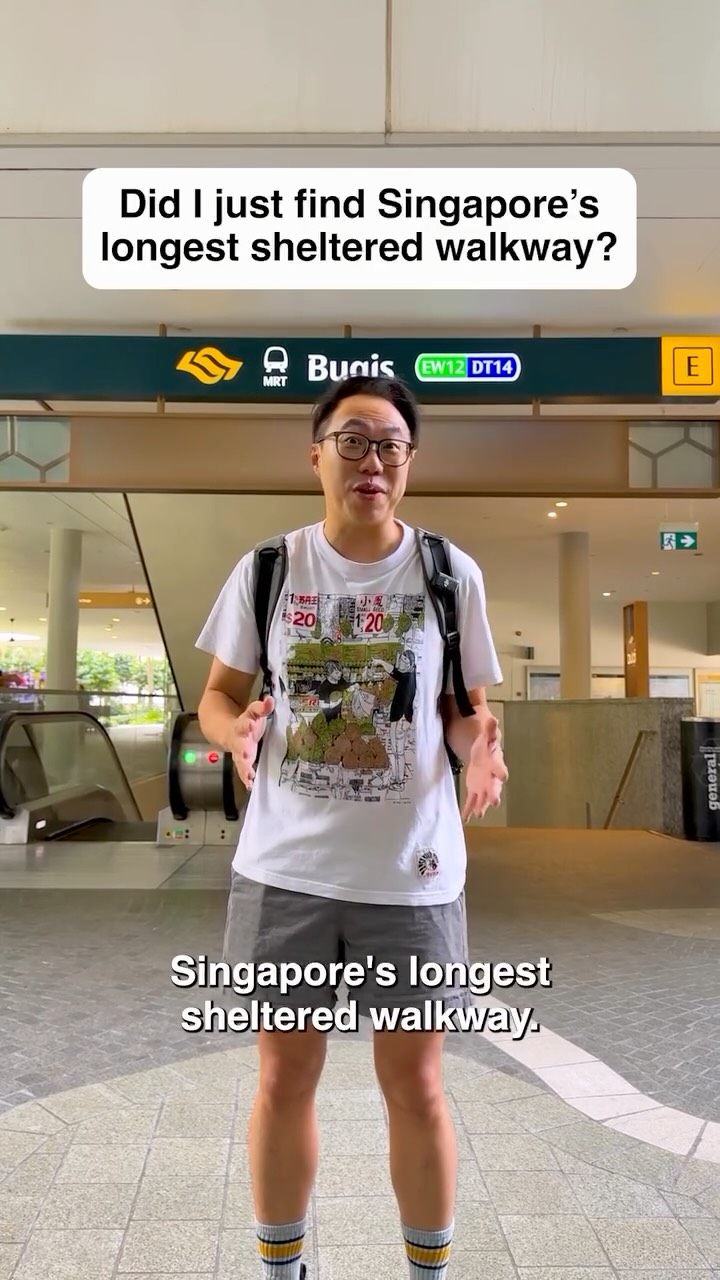 Singapore's Sheltered Walkway Connects Eleven Malls