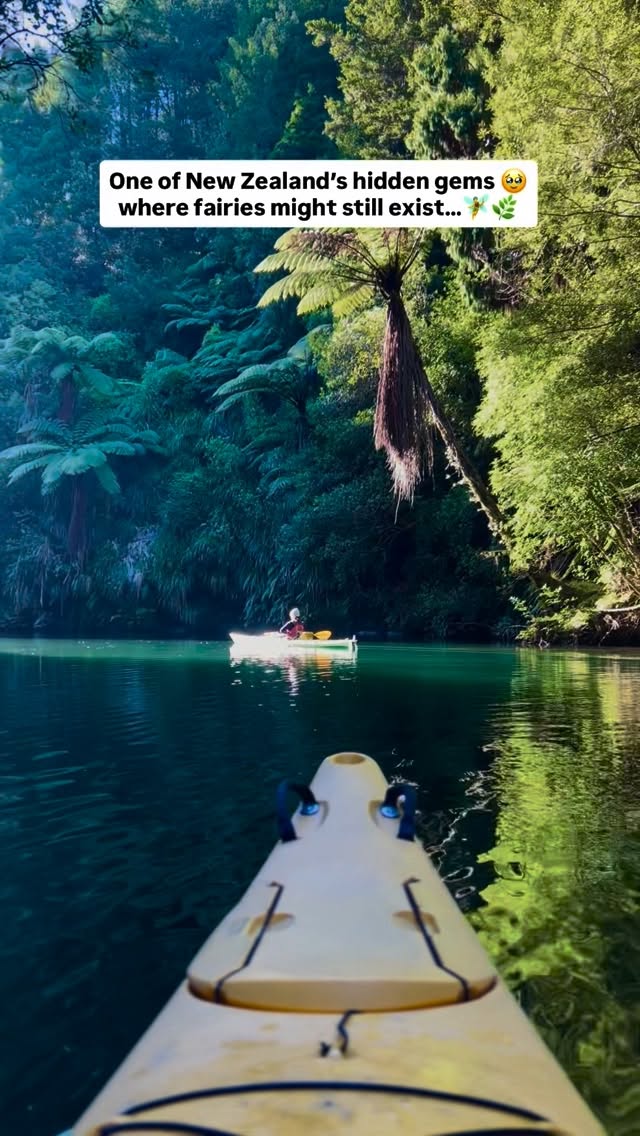 New Zealand's Kayaking and Glowworm River Gems