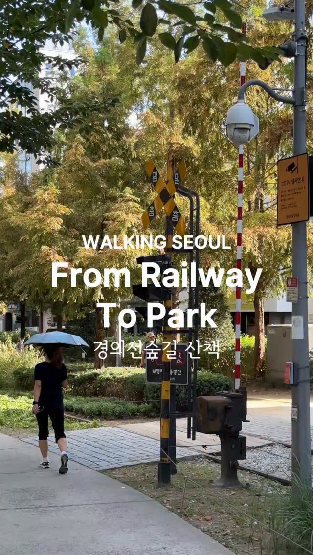 Seoul's Gyeongui Line Forest Park Cafes and Art