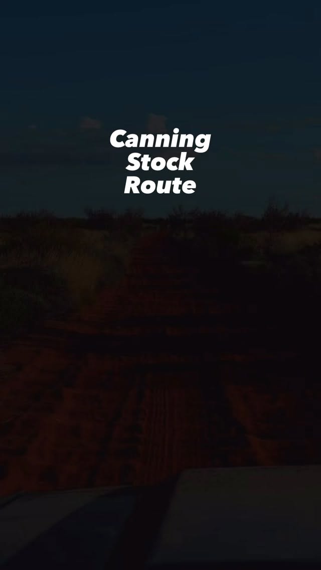 Desert Oaks and Desert Oasis on Canning Stock Route