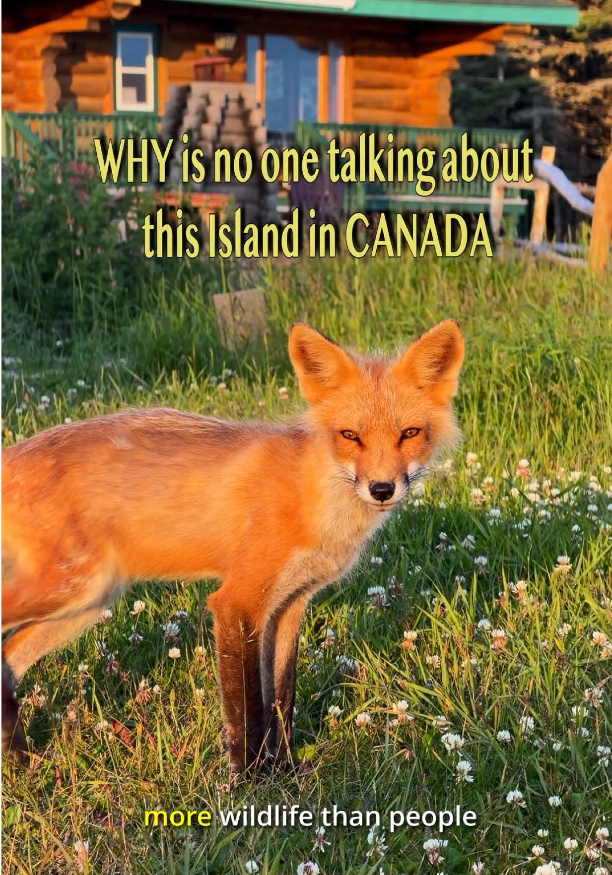 Island Journey: Anticosti Island and Port-Menier