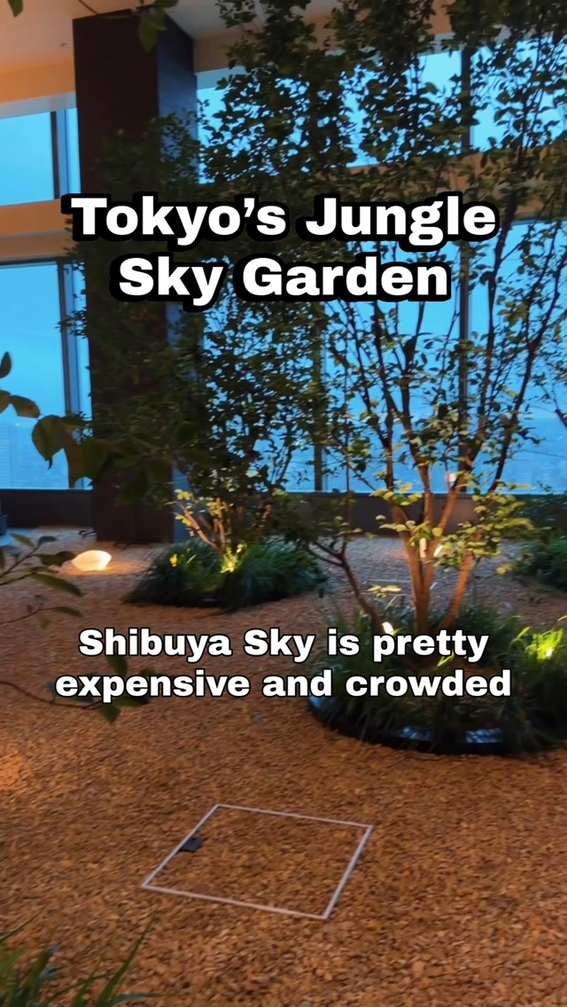 Tokyo's Top Free City Views