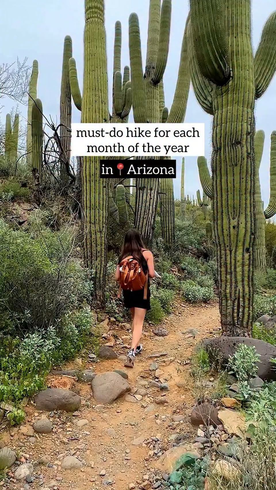 Twelve Arizona Hikes To Explore This Year