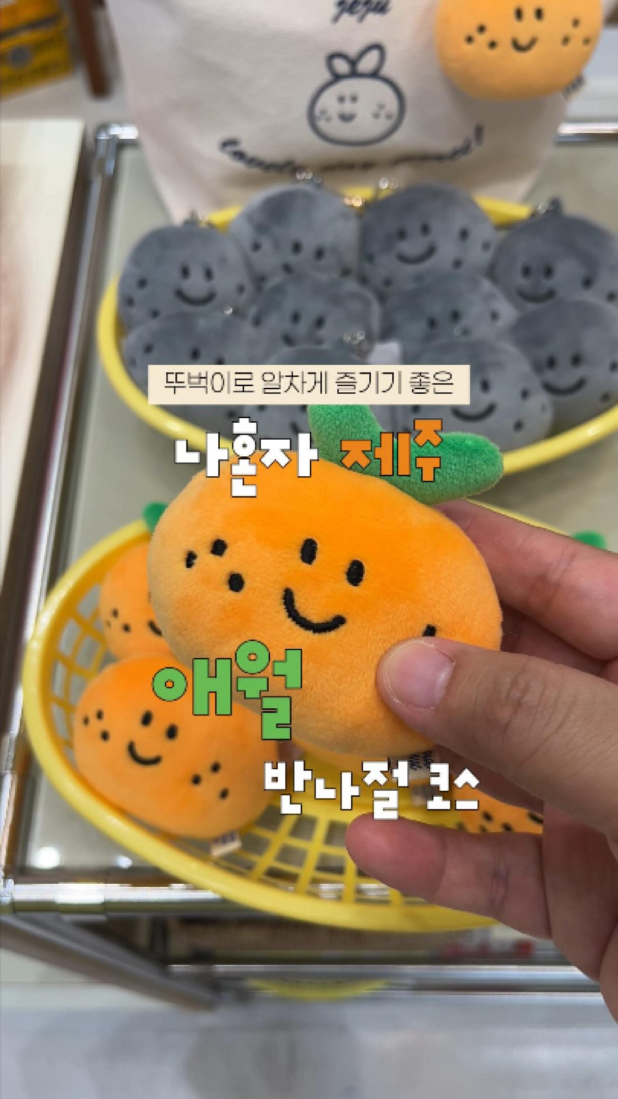 Jeju Aewol Solo Travel Guide