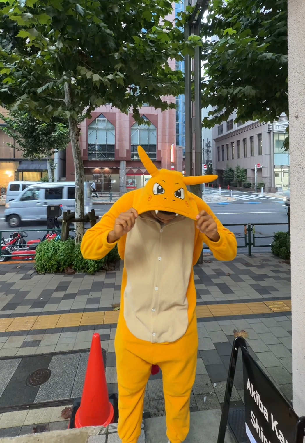 Tokyo's Diverse Eateries and Entertainment