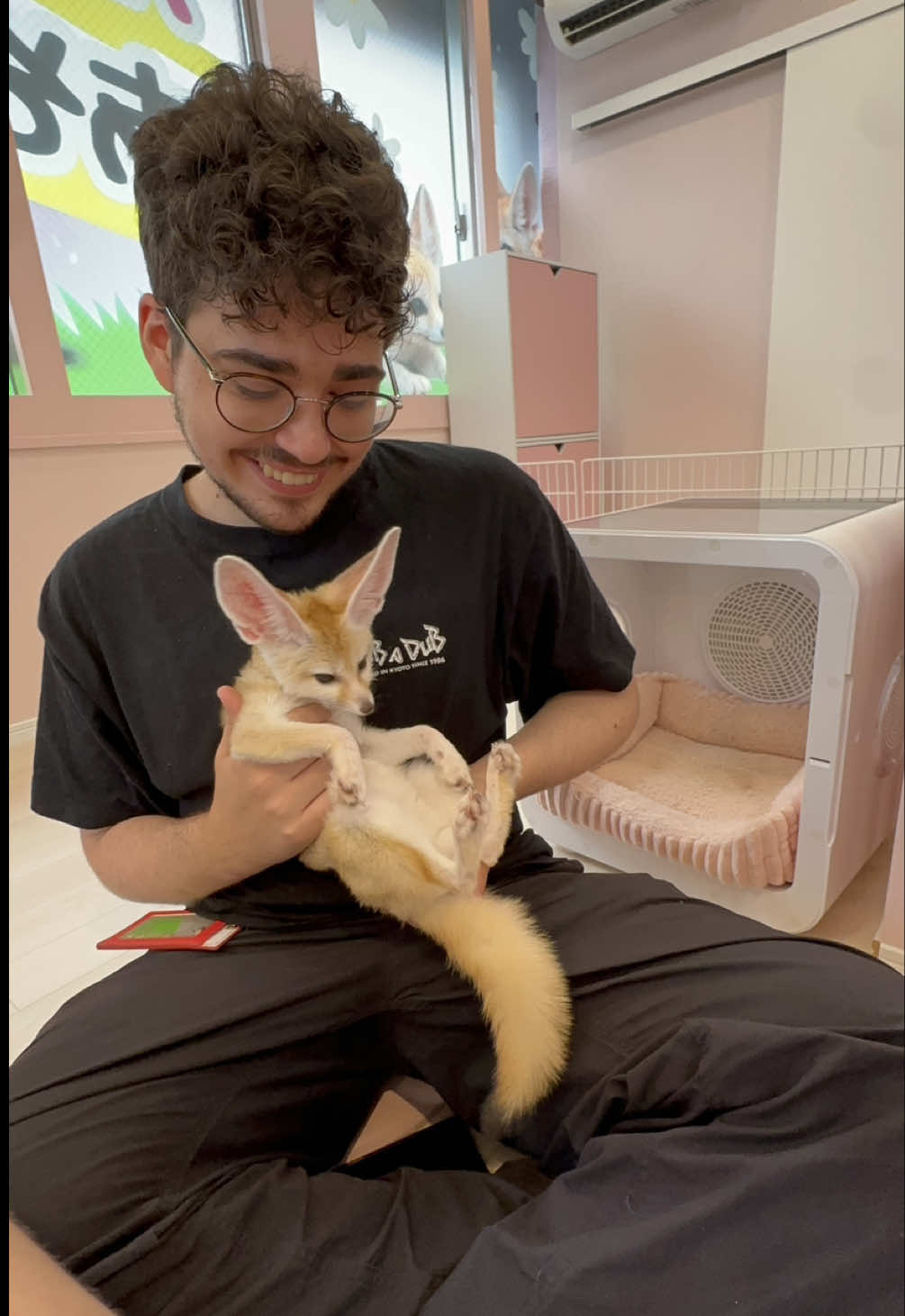 Fennec Fox Cafe Offers Unique Animal Encounters