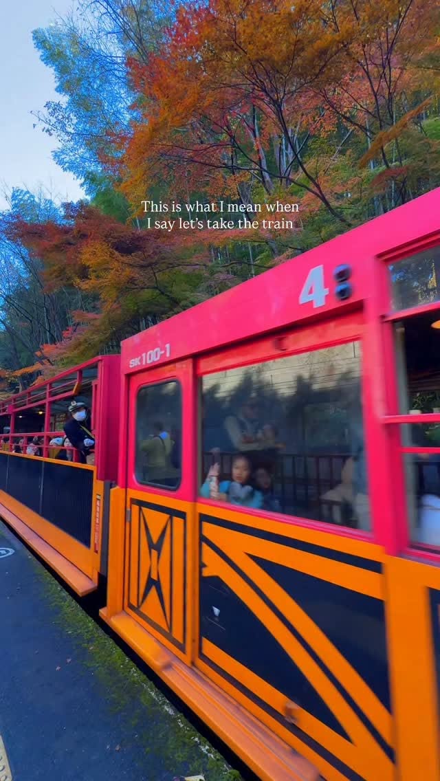 Scenic Train Rides Through Kyoto's Autumn Foliage
