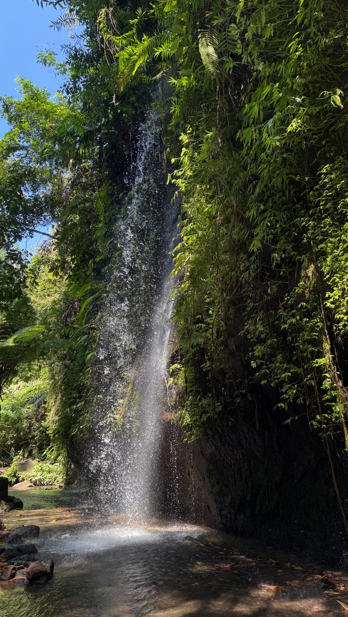 Ubud's Best Yoga Studios, Cafes, And Unique Activities